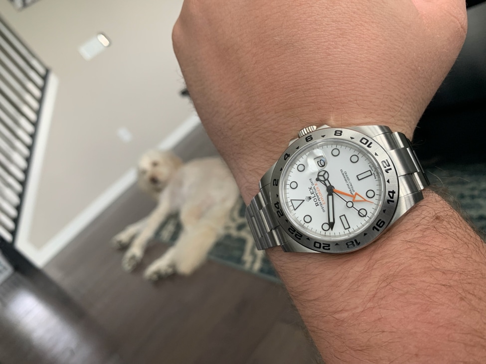 Rolex Explorer II on the wrist